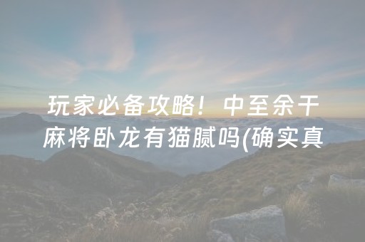 玩家必备攻略！中至余干麻将卧龙有猫腻吗(确实真的有挂)