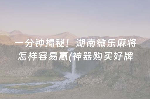 一分钟揭秘！湖南微乐麻将怎样容易赢(神器购买好牌规律)