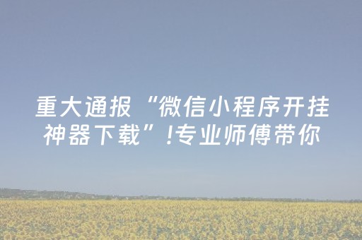 重大通报“微信小程序开挂神器下载”!专业师傅带你一起了解（详细教程）-抖音