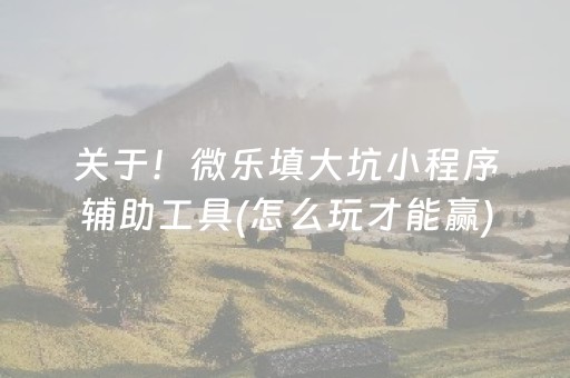 关于！微乐填大坑小程序辅助工具(怎么玩才能赢)