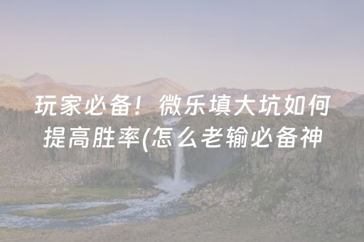 玩家必备！微乐填大坑如何提高胜率(怎么老输必备神器)