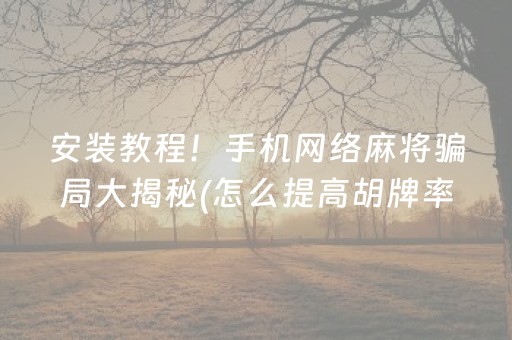 安装教程！手机网络麻将骗局大揭秘(怎么提高胡牌率)