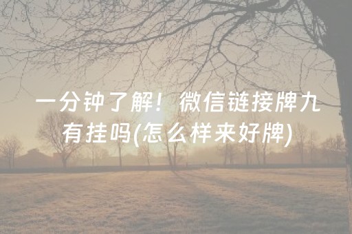 一分钟了解！微信链接牌九有挂吗(怎么样来好牌)