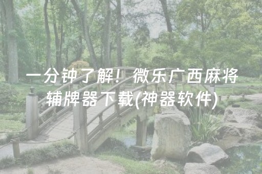 一分钟了解！微乐广西麻将辅牌器下载(神器软件)