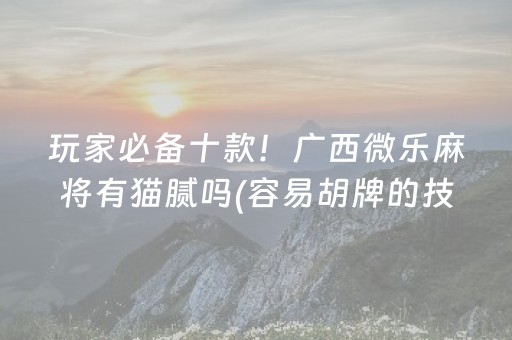 玩家必备十款！广西微乐麻将有猫腻吗(容易胡牌的技巧)