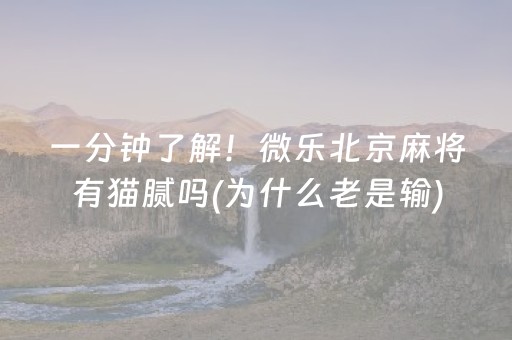一分钟了解！微乐北京麻将有猫腻吗(为什么老是输)