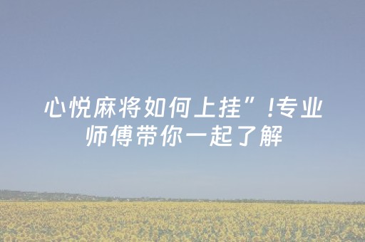心悦麻将如何上挂”!专业师傅带你一起了解（详细教程）-抖音
