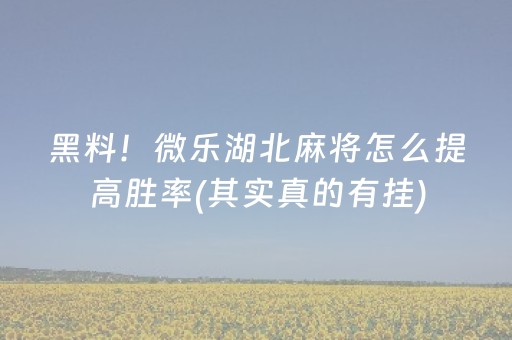 实测教程“麻将机程序机多少钱呀（专用辅牌神器免安装）