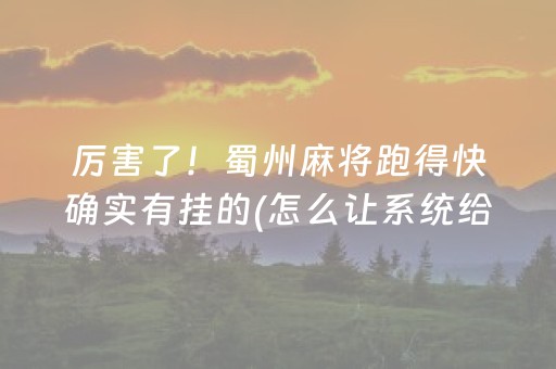 终于发现“哈灵麻将胡牌神器”（详细透视教程）-哔哩哔哩