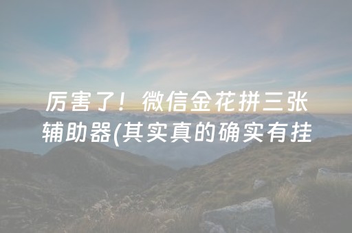 厉害了！微信金花拼三张辅助器(其实真的确实有挂)