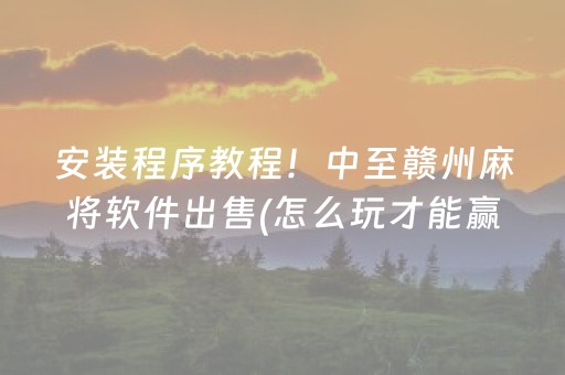 安装程序教程！中至赣州麻将软件出售(怎么玩才能赢)