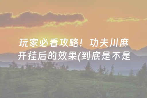 玩家必看攻略！功夫川麻开挂后的效果(到底是不是有挂)