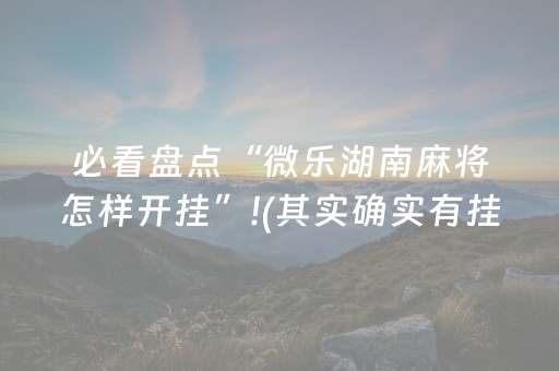 必看盘点“微乐湖南麻将怎样开挂”!(其实确实有挂)-抖音