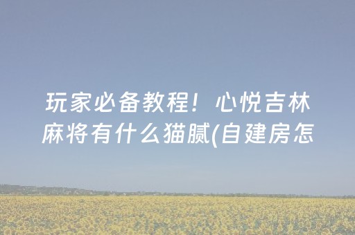 玩家必备教程！心悦吉林麻将有什么猫腻(自建房怎么赢)