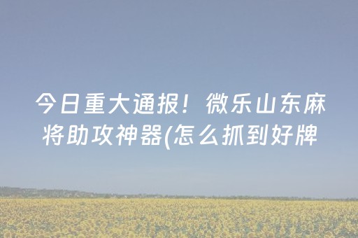今日重大通报！微乐山东麻将助攻神器(怎么抓到好牌)