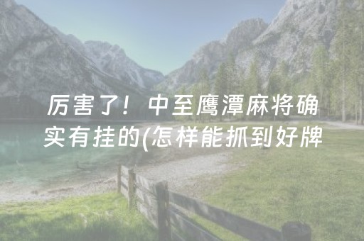 厉害了！中至鹰潭麻将确实有挂的(怎样能抓到好牌)