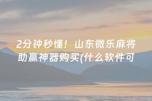 2分钟秒懂！山东微乐麻将助赢神器购买(什么软件可以赢)