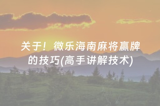 关于！微乐海南麻将赢牌的技巧(高手讲解技术)