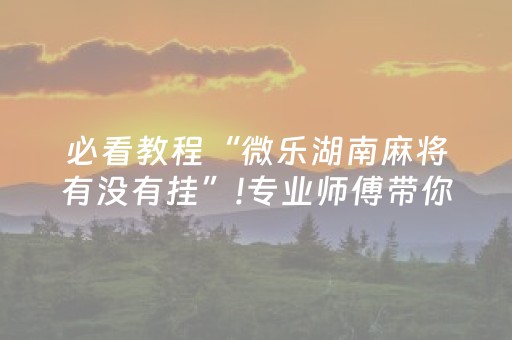 必看教程“微乐湖南麻将有没有挂”!专业师傅带你一起了解（详细教程）-抖音