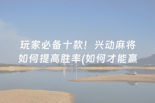 玩家必备十款！兴动麻将如何提高胜率(如何才能赢)