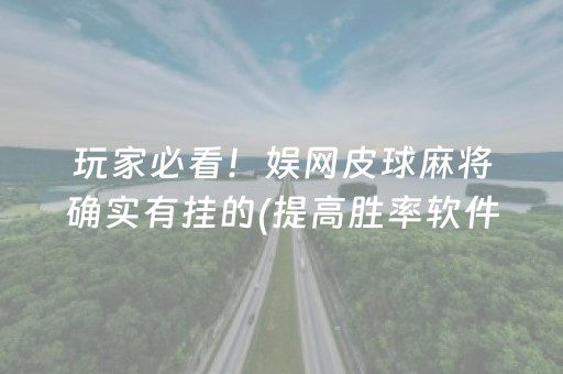 玩家必看！娱网皮球麻将确实有挂的(提高胜率软件)