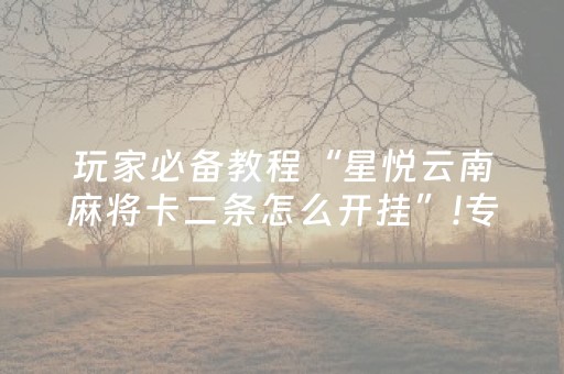 玩家必备教程“星悦云南麻将卡二条怎么开挂”!专业师傅带你一起了解（详细教程）-抖音