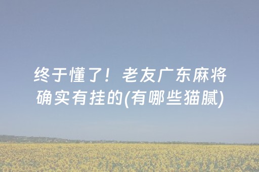 终于懂了！老友广东麻将确实有挂的(有哪些猫腻)