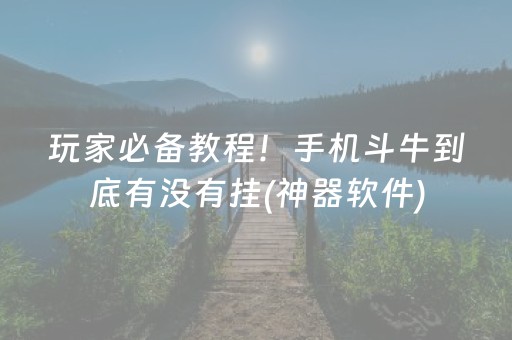 玩家必备教程！手机斗牛到底有没有挂(神器软件)
