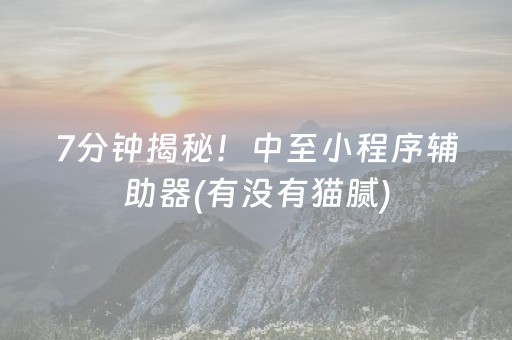 7分钟揭秘！中至小程序辅助器(有没有猫腻)