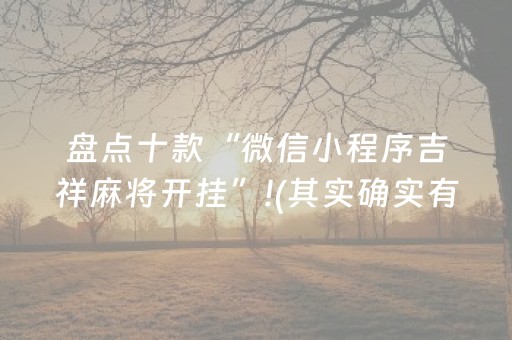 实测分享“微乐陕西麻将插件免费”（详细透视教程）-哔哩哔哩