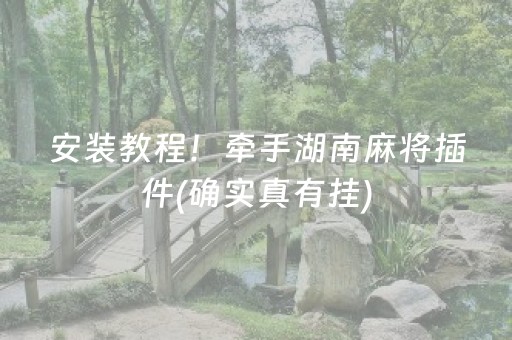 安装教程！牵手湖南麻将插件(确实真有挂)