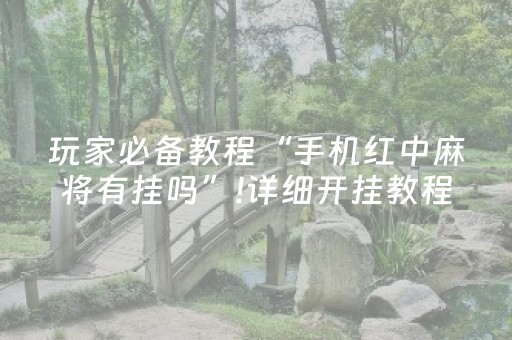 玩家必备教程“手机红中麻将有挂吗”!详细开挂教程-抖音