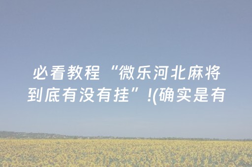 玩家必看攻略“微乐麻将挂件神器（专用辅牌神器免安装）