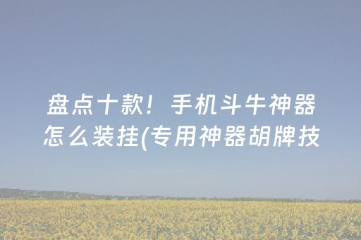 3分钟学会“白金岛三打哈辅助工具骗局”（详细透视教程）-哔哩哔哩