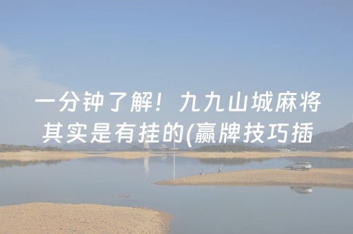 玩家实测“星悦云南麻将胡牌神器”（详细透视教程）-哔哩哔哩
