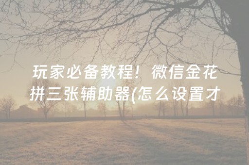 玩家必备教程！微信金花拼三张辅助器(怎么设置才能赢)