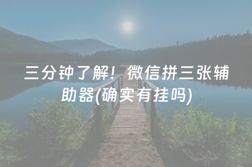 三分钟了解！微信拼三张辅助器(确实有挂吗)