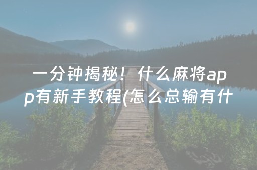 一分钟揭秘！什么麻将app有新手教程(怎么总输有什么猫腻)