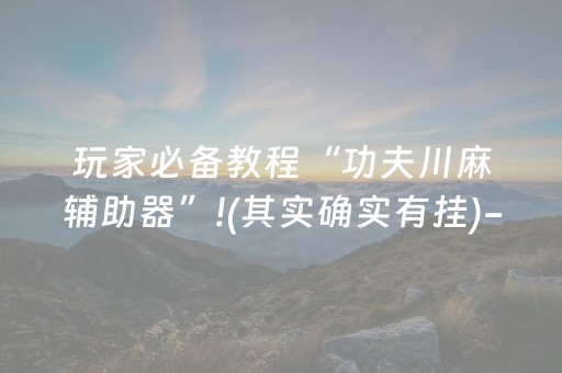 玩家必备教程“功夫川麻辅助器”!(其实确实有挂)-抖音