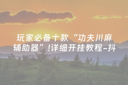 玩家必备十款“功夫川麻辅助器”!详细开挂教程-抖音