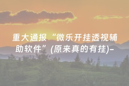 重大通报“微乐开挂透视辅助软件”(原来真的有挂)-抖音