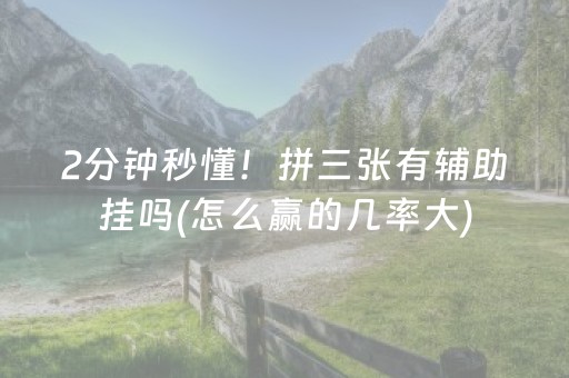 2分钟秒懂！拼三张有辅助挂吗(怎么赢的几率大)