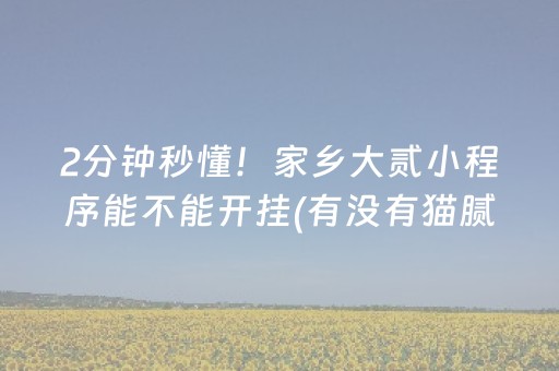 2分钟秒懂！家乡大贰小程序能不能开挂(有没有猫腻)