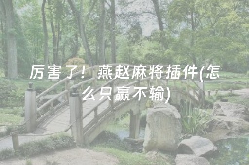 厉害了！燕赵麻将插件(怎么只赢不输)