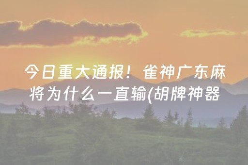今日重大通报！雀神广东麻将为什么一直输(胡牌神器有猫腻吗)