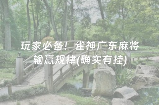 玩家必备！雀神广东麻将输赢规律(确实有挂)