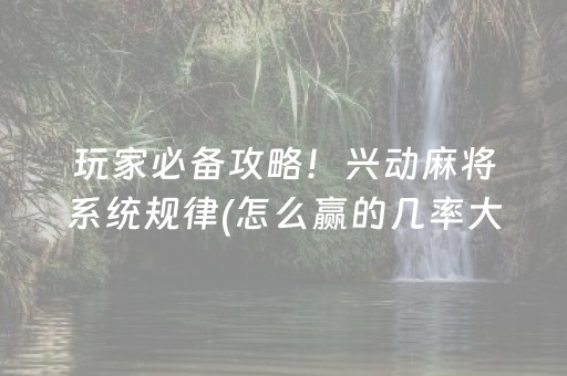 玩家必备攻略！兴动麻将系统规律(怎么赢的几率大)
