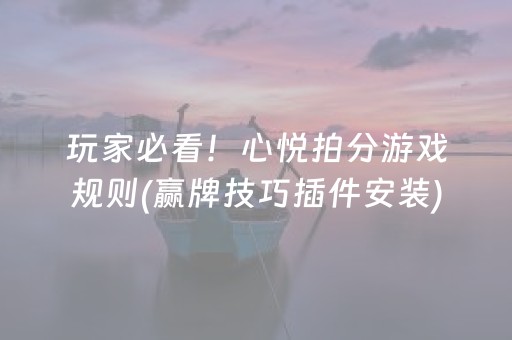 玩家必看！心悦拍分游戏规则(赢牌技巧插件安装)