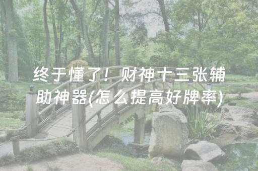 终于懂了！财神十三张辅助神器(怎么提高好牌率)