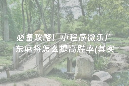 必备攻略！小程序微乐广东麻将怎么提高胜率(其实真的有挂)